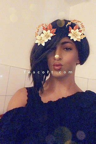 trans escort creteil|Trans escort Créteil